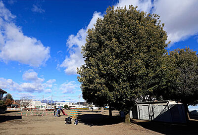 城東児童公園 約270m(徒歩4分)