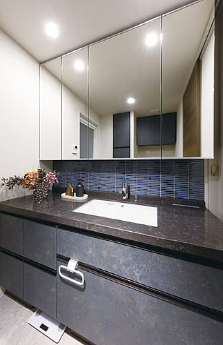 ポレスター自治医大ガーデンヴィラ パウダールーム