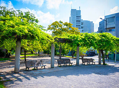新宿公園 約120m（徒歩2分）