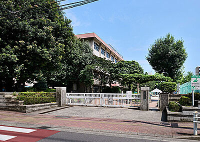 中洲小学校 約710m(徒歩9分)
