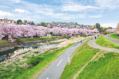 南浅川緑地 約30m(徒歩1分)