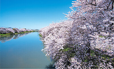 元荒川河川敷公園(緑町) 約920m(徒歩12分)