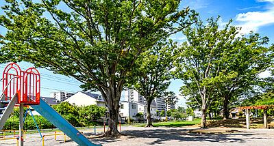あかしあ公園 約350m(徒歩5分)
