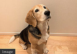 アイムテラス福住 設備