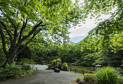 横浜公園 約660m（徒歩9分）