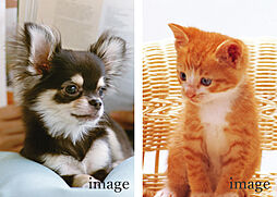 オーヴィジョン朝倉街道駅前 設備