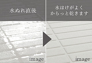 オーヴィジョン朝倉街道駅前 ペットと暮らせる