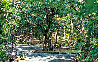 南公園 約640m(徒歩8分)