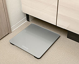 エスリード ザ・ジスタス八尾桜ヶ丘 設備