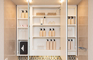 ブライトタウン天竜川駅前フレシア 三面鏡裏収納