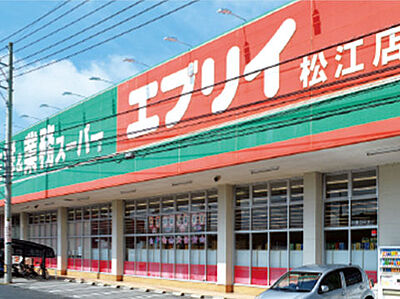 エブリイ松江店 約350m(徒歩5分)
