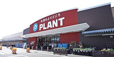 PLANT出雲店 約370m(徒歩5分)