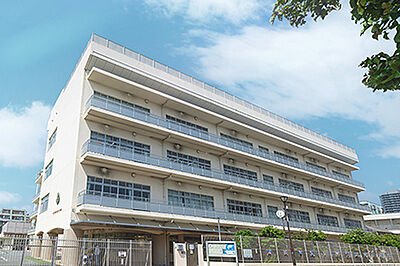 八王子市立第三小学校（指定校） 約920m（徒歩12分）