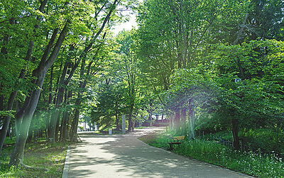 富士森公園 約1,700m（徒歩27分）