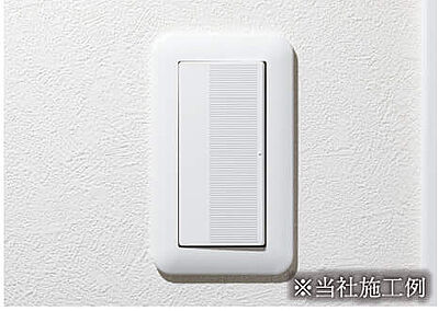 大型スイッチ