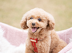 シエリアシティ大津におの浜 設備