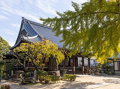 難宗寺 約460m(徒歩6分)
