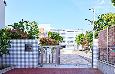 世田谷区立山野小学校 約150m(徒歩2分)