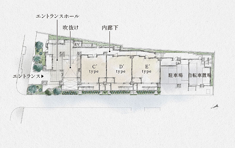 クレヴィア浜田山 敷地配置イメージイラスト