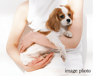 トラスト白木原レジデンス ペット飼育可