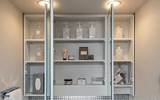 プレサンス ロジェ 甲子園口メゾニア 三面鏡裏収納