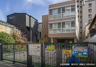 田辺幼稚園 約240m（徒歩3分）
