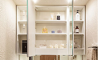 プレサンス ロジェ 銀山町 CENTIA 三面鏡裏収納