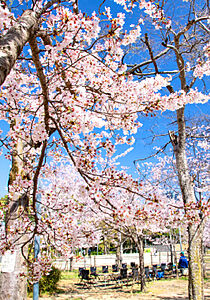 比治山公園 約760m(徒歩10分)