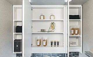 プレサンス ロジェ 星ヶ丘駅前 三面鏡裏収納