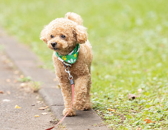 レ・ジェイド篠崎 設備