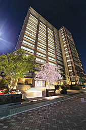 COCOCHI FIRST PROJECT（ココチファースト プロジェクト） その他