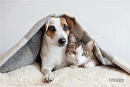 CHIBA STORIESプロジェクト 設備