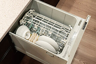 アメイズ亀山ビューテラス 食器洗い乾燥機