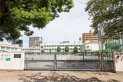 松原小学校 約240m(徒歩3分)