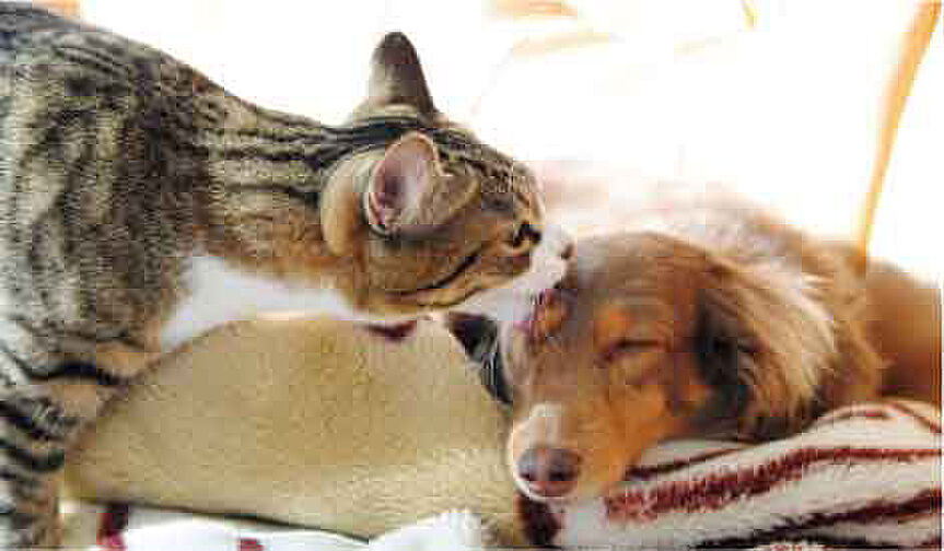 イノバス名古屋本陣 設備