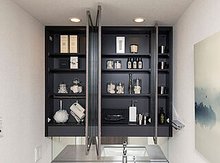 シエリア杉並高井戸 三面鏡裏収納