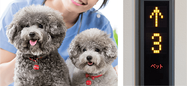 パレステージ杉並松庵 設備