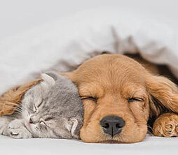 オーベル三鷹 設備