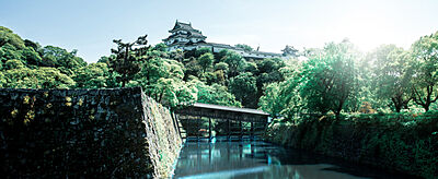 和歌山城公園 約780m(徒歩10分)