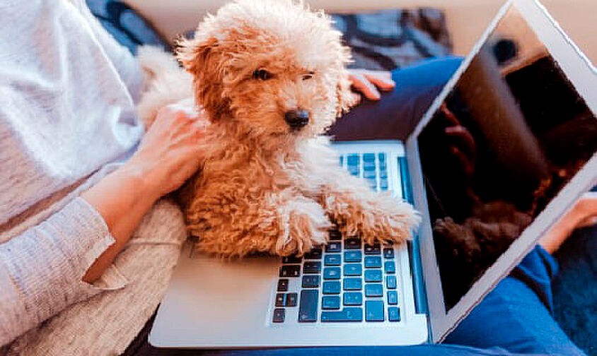 ウエリス覚王山法王町 設備