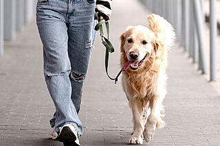 シンビエンス世田谷尾山台 大切なペットと一緒に暮らせます