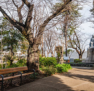 東京都健康長寿医療研究センター公園 約380m(徒歩5分)