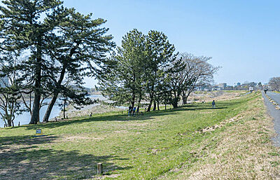 多摩川五本松公園 約140m(徒歩2分)(A棟)~約510m(徒歩7分)(G棟)