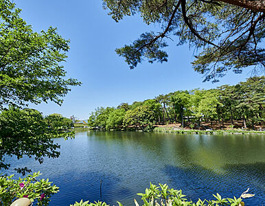 大宮公園※提供写真 (徒歩9分)