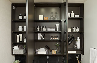 ライオンズ岐阜プレミストタワー３５ 収納付き三面鏡