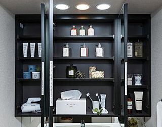 ザ・札幌タワーズ　ウエストタワー 収納付三面鏡