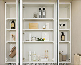 ザ・ライオンズ西九条 三面鏡裏収納