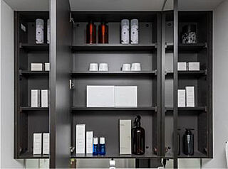 ザ・ライオンズ府中 扉裏収納付三面鏡