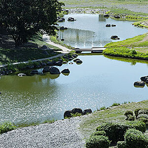 兵庫島公園 約270m（徒歩4分）