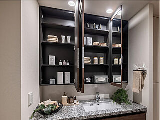 プラウドタワー小岩フロント ( 第4期 ) 三面鏡収納